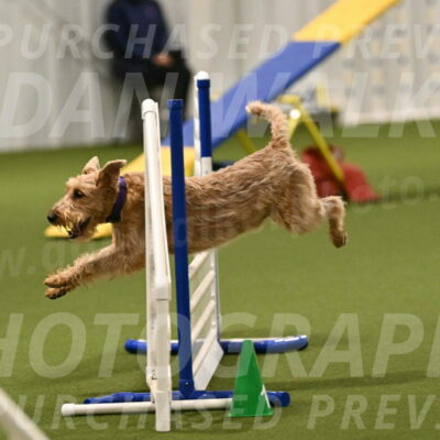 Keegan-Andrea-Ralles-05768