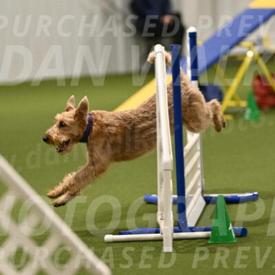 Keegan-Andrea-Ralles-05769