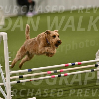 Keegan-Andrea-Ralles-05770