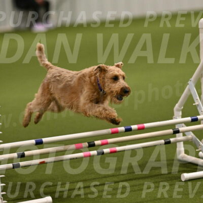 Keegan-Andrea-Ralles-05771