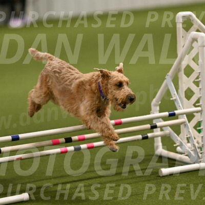 Keegan-Andrea-Ralles-05772