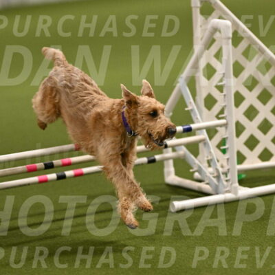 Keegan-Andrea-Ralles-05773