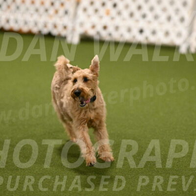 Keegan-Andrea-Ralles-05774