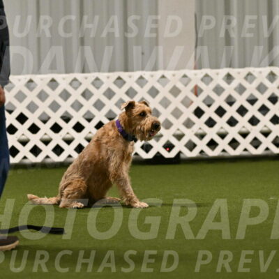 Keegan-Andrea-Ralles-05775