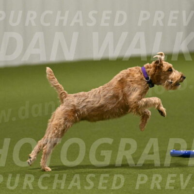 Keegan-Andrea-Ralles-05776