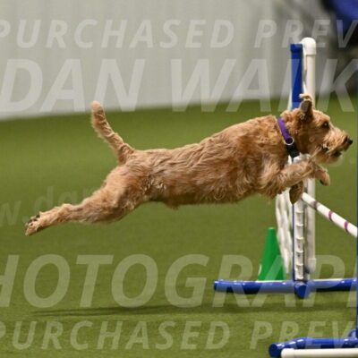 Keegan-Andrea-Ralles-05777