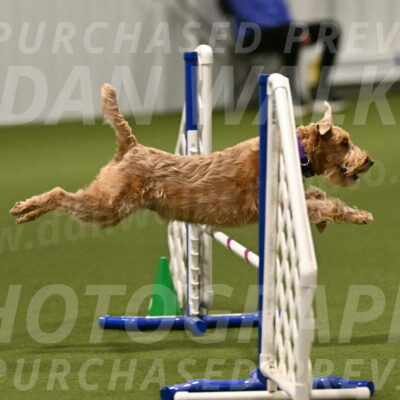 Keegan-Andrea-Ralles-05778