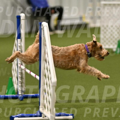 Keegan-Andrea-Ralles-05779