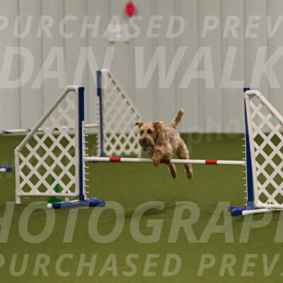 Keegan-Andrea-Ralles-05780