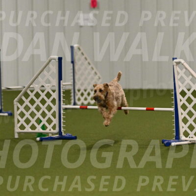 Keegan-Andrea-Ralles-05781