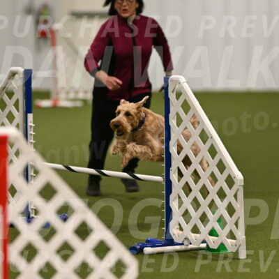 Keegan-Andrea-Ralles-05782