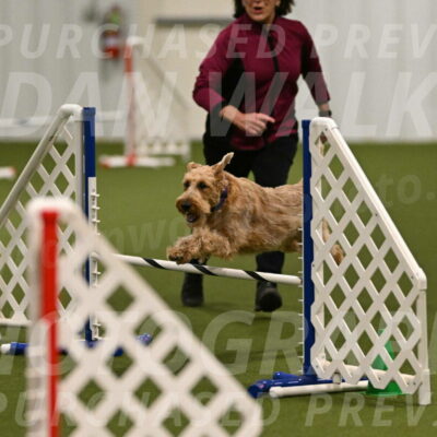 Keegan-Andrea-Ralles-05783