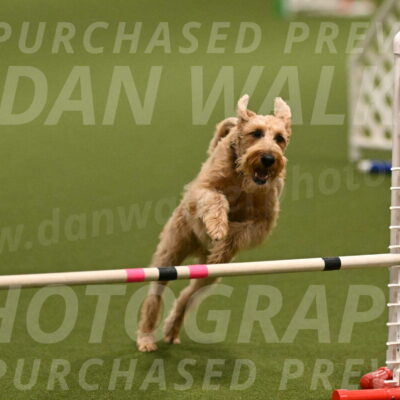 Keegan-Andrea-Ralles-05784