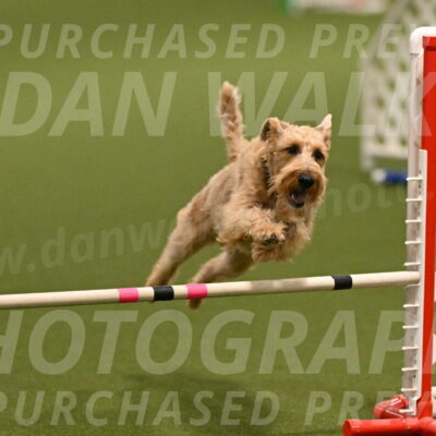 Keegan-Andrea-Ralles-05785