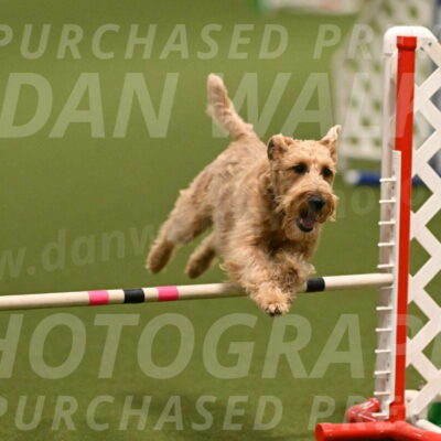 Keegan-Andrea-Ralles-05786