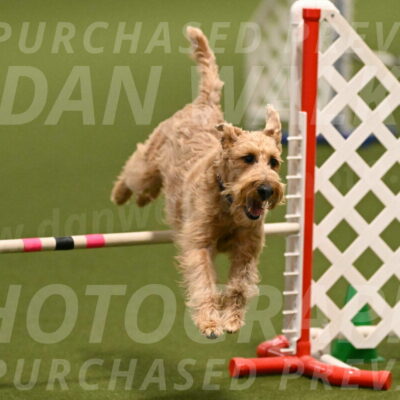 Keegan-Andrea-Ralles-05787