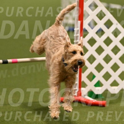 Keegan-Andrea-Ralles-05788