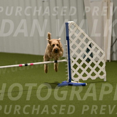 Keegan-Andrea-Ralles-05789