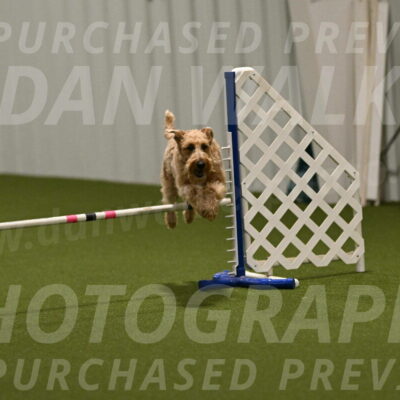 Keegan-Andrea-Ralles-05790