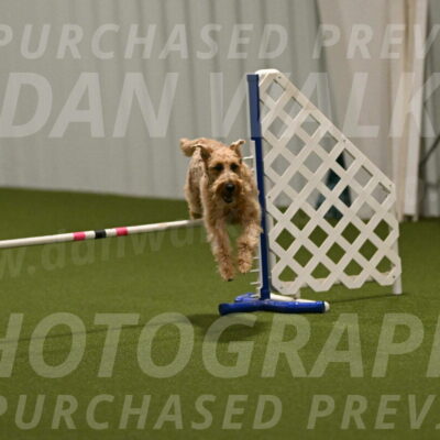 Keegan-Andrea-Ralles-05791