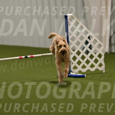 Keegan-Andrea-Ralles-05792