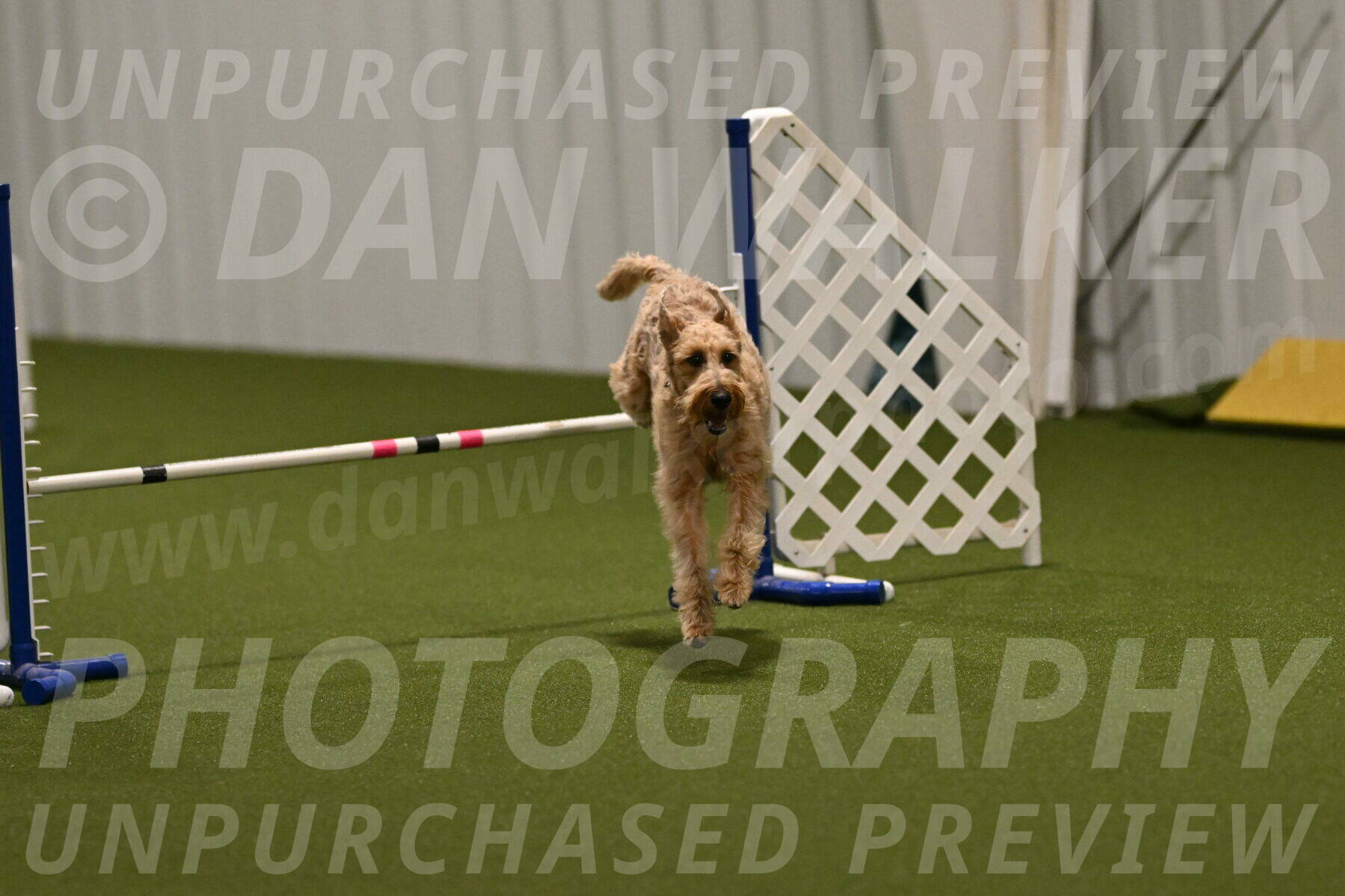 Keegan-Andrea-Ralles-05792
