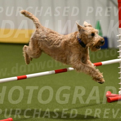 Keegan-Andrea-Ralles-05793