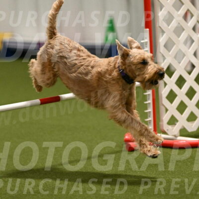 Keegan-Andrea-Ralles-05794