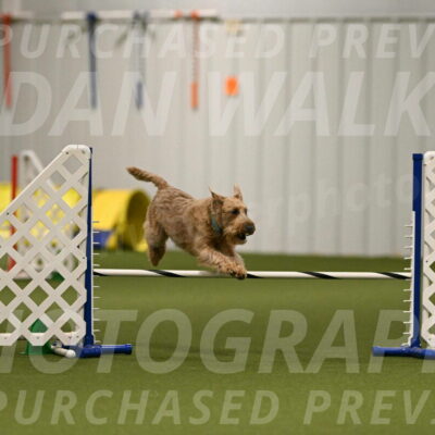 Keegan-Andrea-Ralles-05795