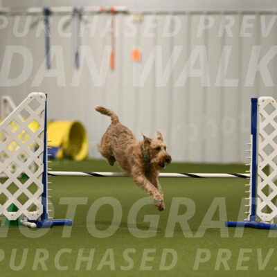 Keegan-Andrea-Ralles-05796