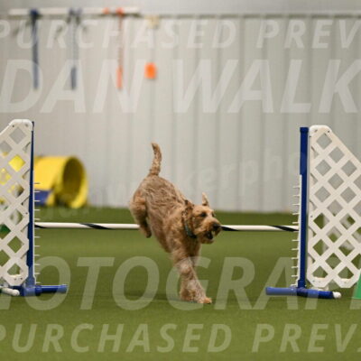 Keegan-Andrea-Ralles-05797