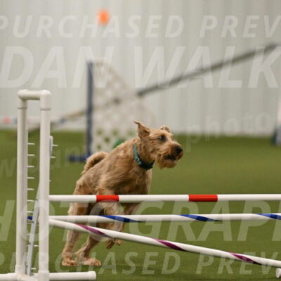 Keegan-Andrea-Ralles-05798