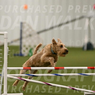 Keegan-Andrea-Ralles-05799