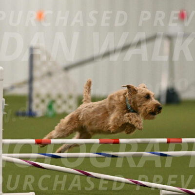 Keegan-Andrea-Ralles-05800