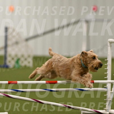 Keegan-Andrea-Ralles-05801