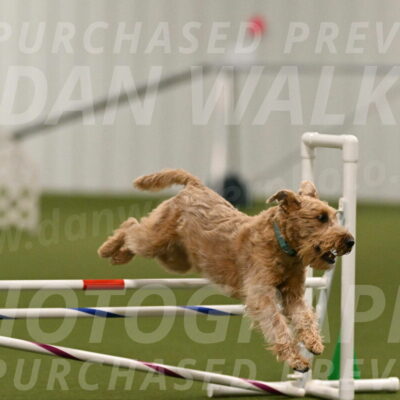 Keegan-Andrea-Ralles-05802