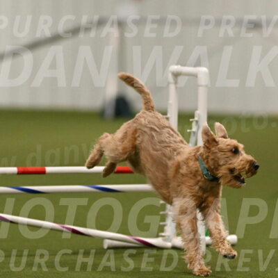 Keegan-Andrea-Ralles-05803