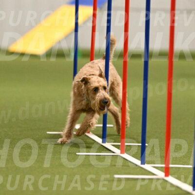 Keegan-Andrea-Ralles-05804