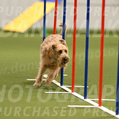 Keegan-Andrea-Ralles-05805