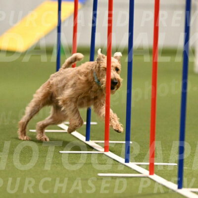 Keegan-Andrea-Ralles-05806