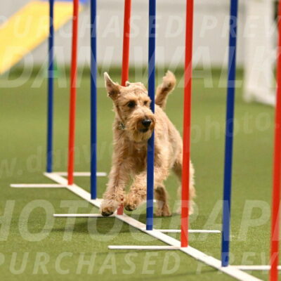 Keegan-Andrea-Ralles-05807