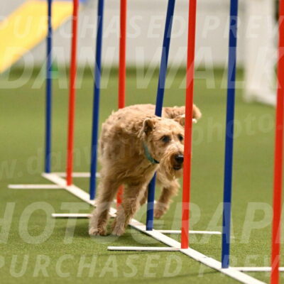 Keegan-Andrea-Ralles-05808