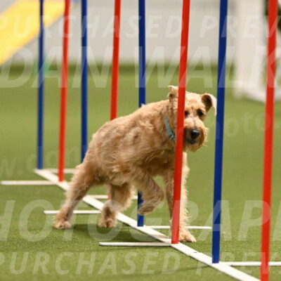 Keegan-Andrea-Ralles-05809