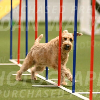 Keegan-Andrea-Ralles-05810