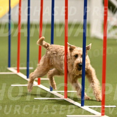 Keegan-Andrea-Ralles-05811