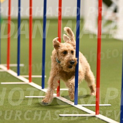 Keegan-Andrea-Ralles-05812