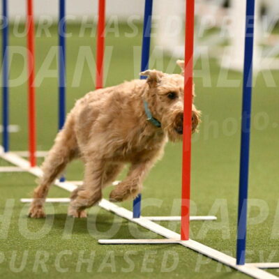 Keegan-Andrea-Ralles-05813