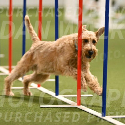 Keegan-Andrea-Ralles-05814