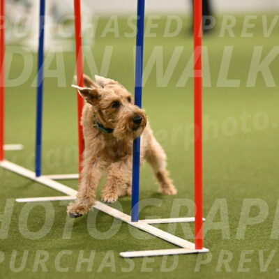 Keegan-Andrea-Ralles-05815