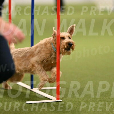 Keegan-Andrea-Ralles-05816